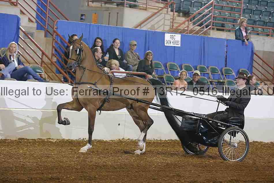 Proof 13r12_0516