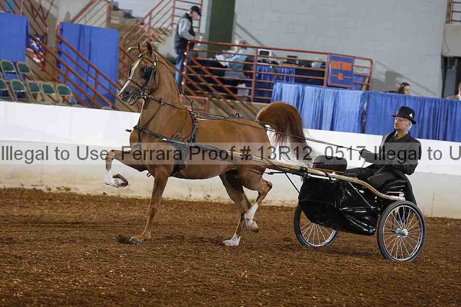 Proof 13r12_0517