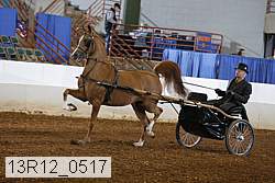 13r12_0517 proof