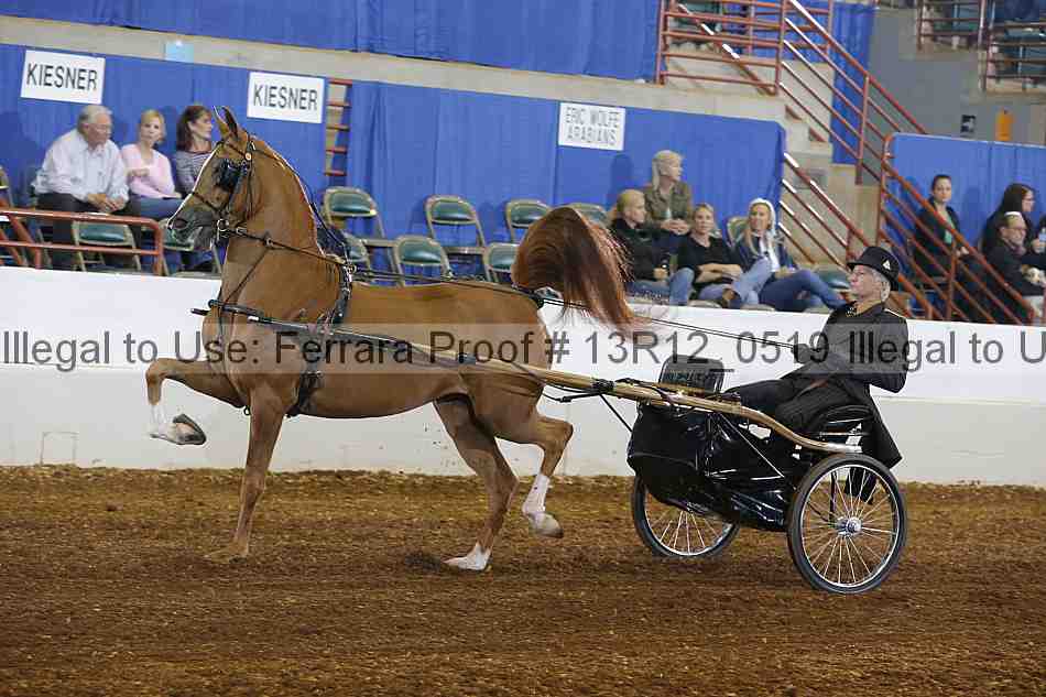 Proof 13r12_0519