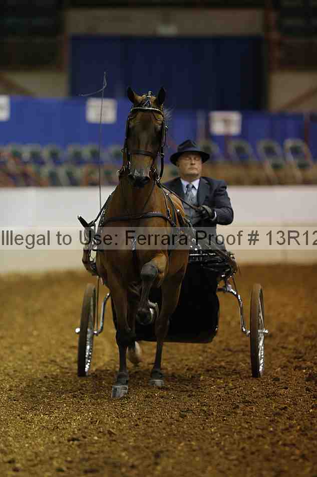 Proof 13r12_0520