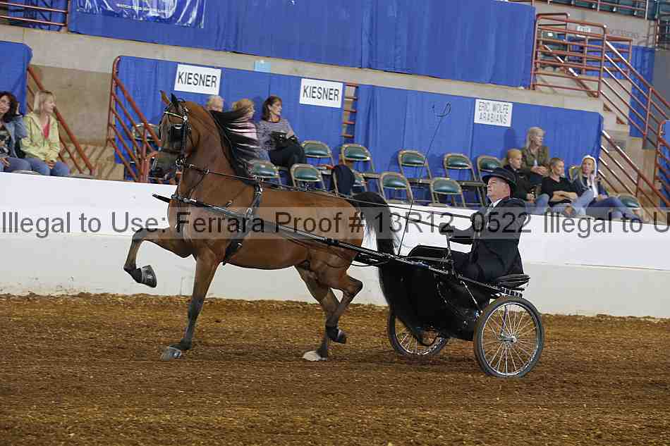 Proof 13r12_0522