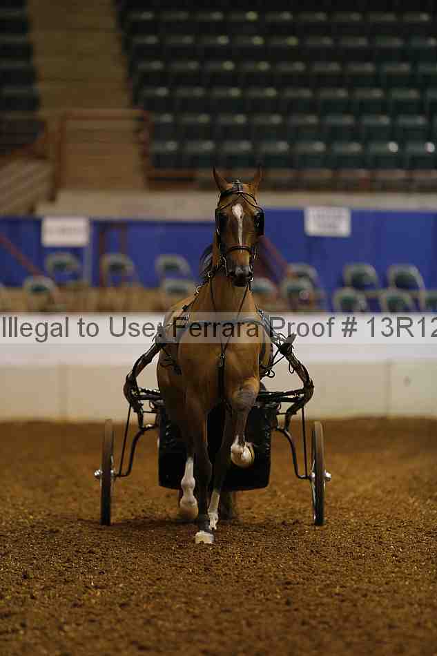 Proof 13r12_0523