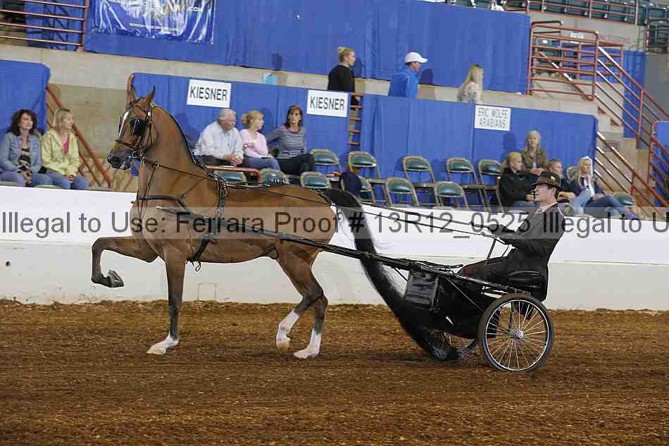 Proof 13r12_0525