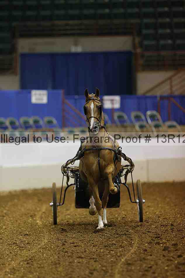 Proof 13r12_0528
