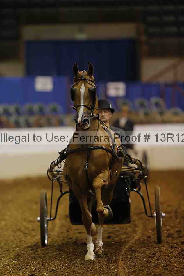 Proof 13r12_0529