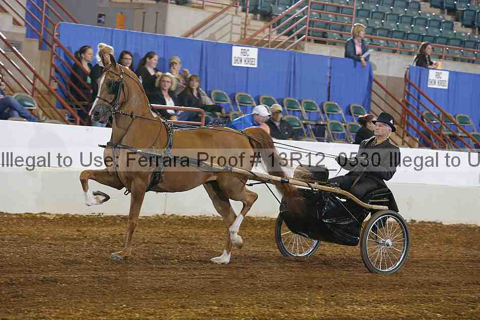 Proof 13r12_0530