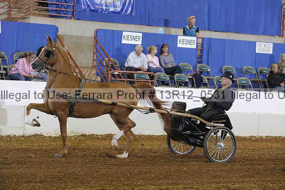 Proof 13r12_0531