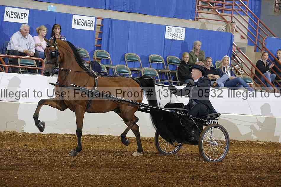 Proof 13r12_0532