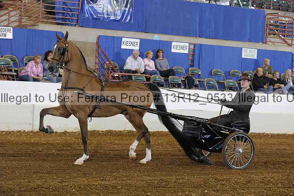 Proof 13r12_0533