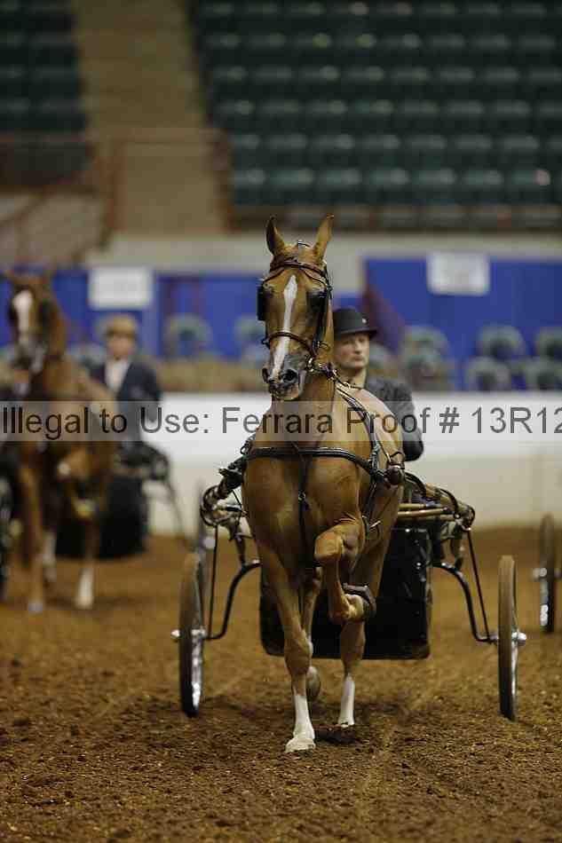 Proof 13r12_0534