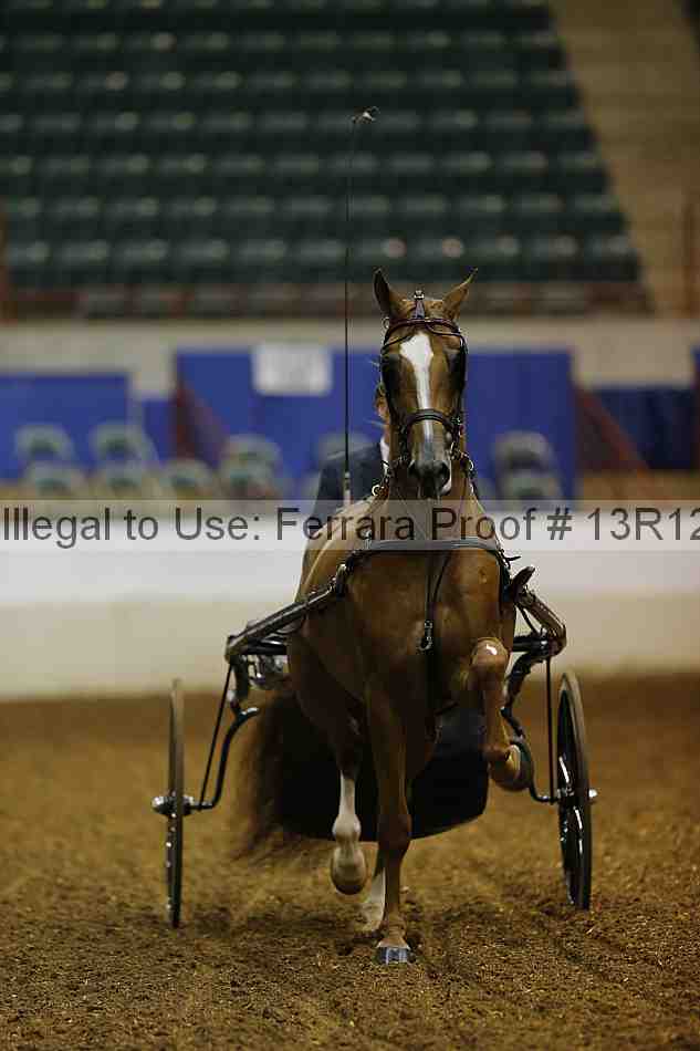 Proof 13r12_0537