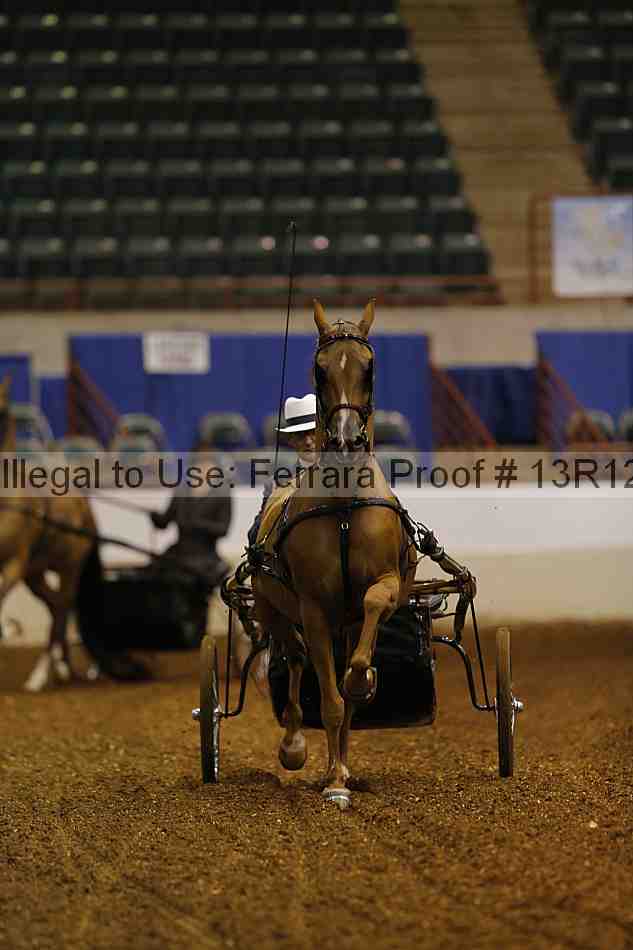 Proof 13r12_0539