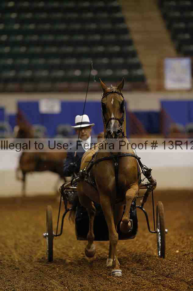 Proof 13r12_0540