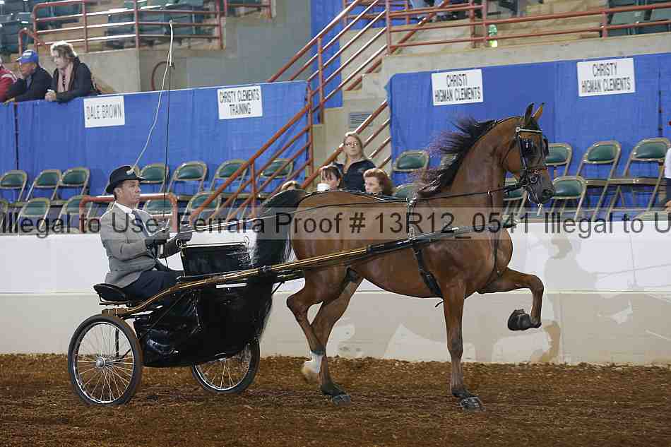 Proof 13r12_0541