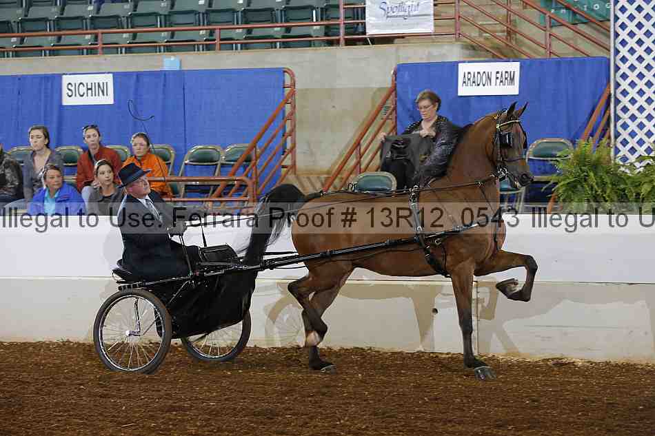 Proof 13r12_0543