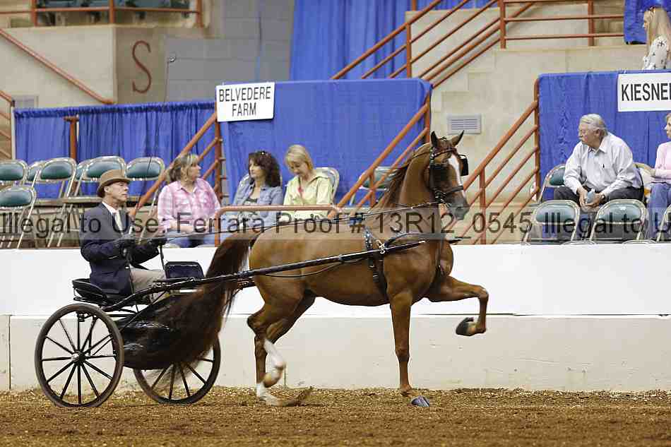 Proof 13r12_0545