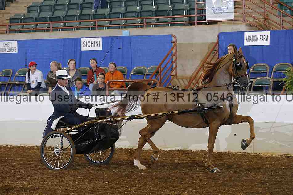 Proof 13r12_0546