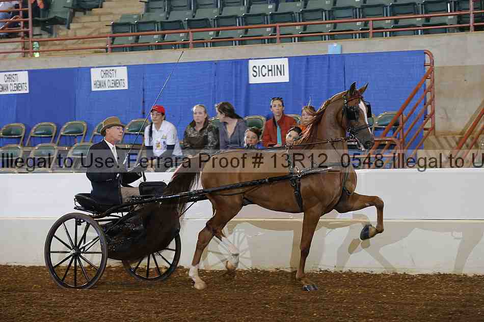 Proof 13r12_0548