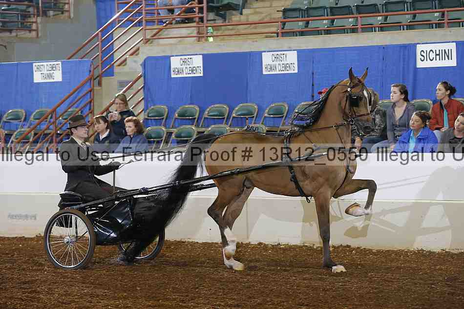Proof 13r12_0550
