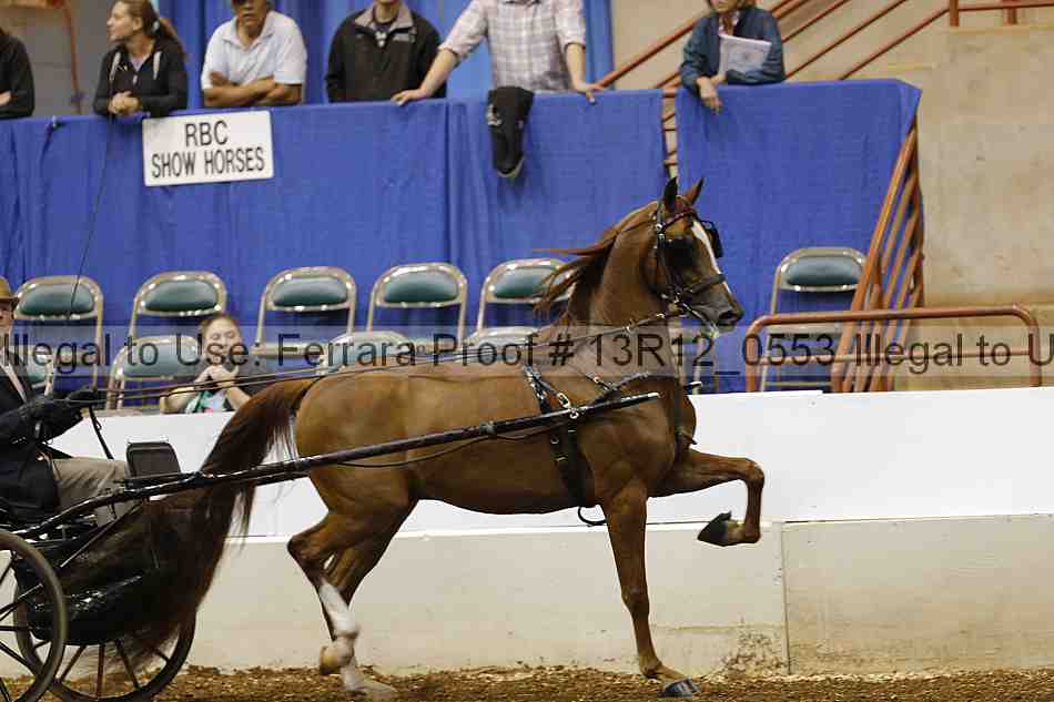 Proof 13r12_0553