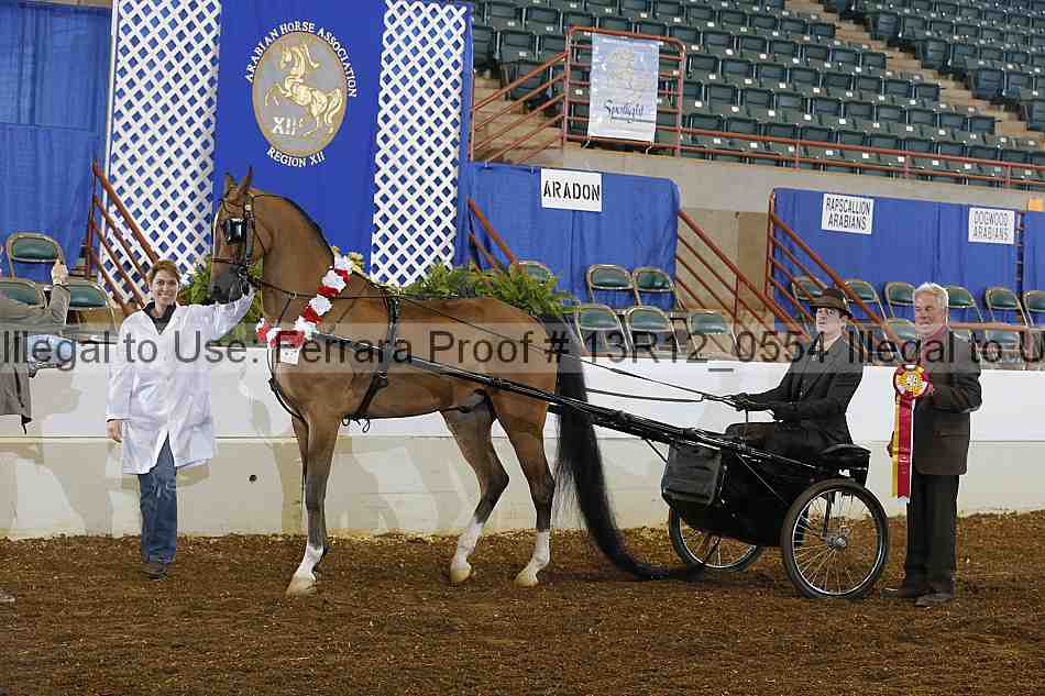 Proof 13r12_0554