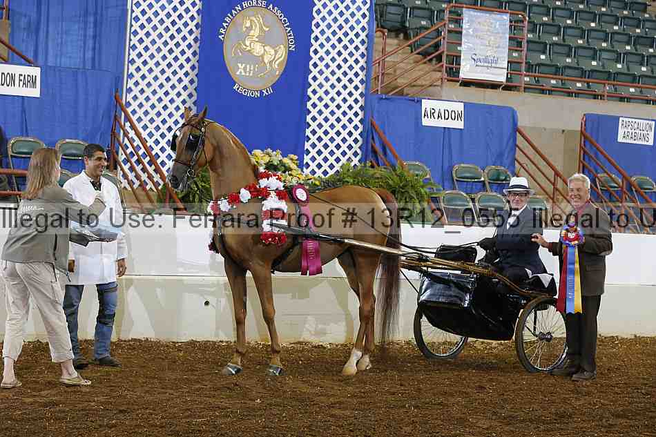 Proof 13r12_0555