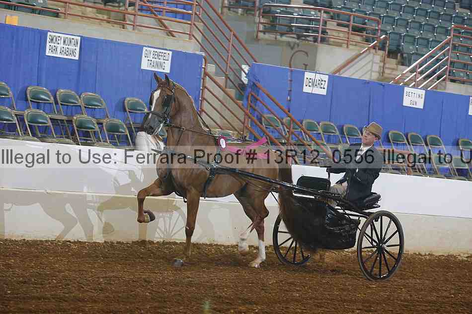 Proof 13r12_0556