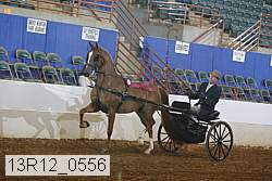 13r12_0556 proof