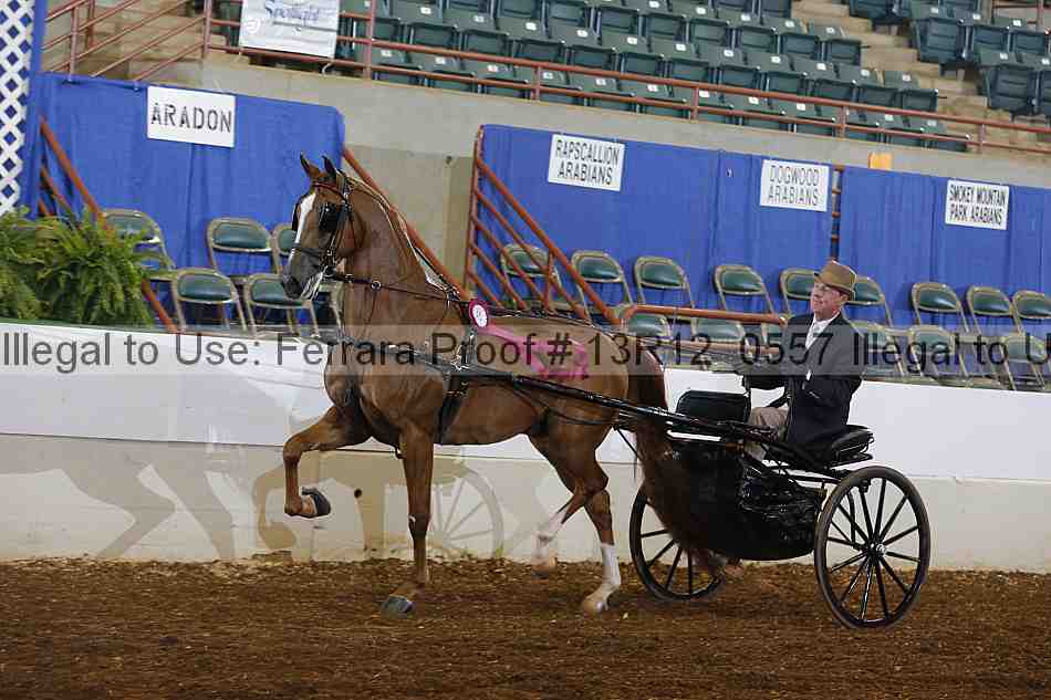 Proof 13r12_0557