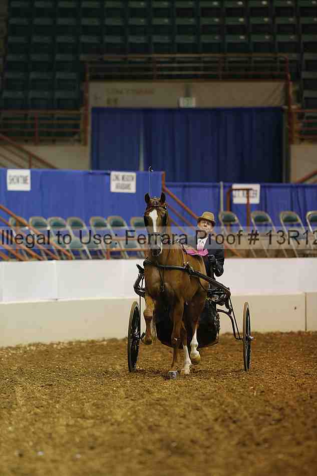 Proof 13r12_0558