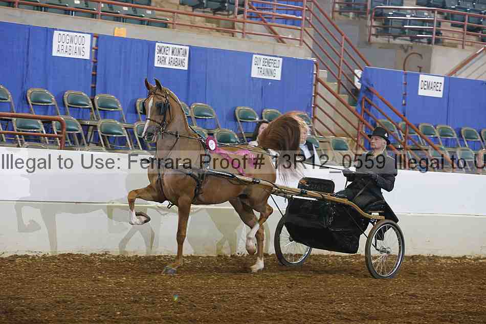 Proof 13r12_0559