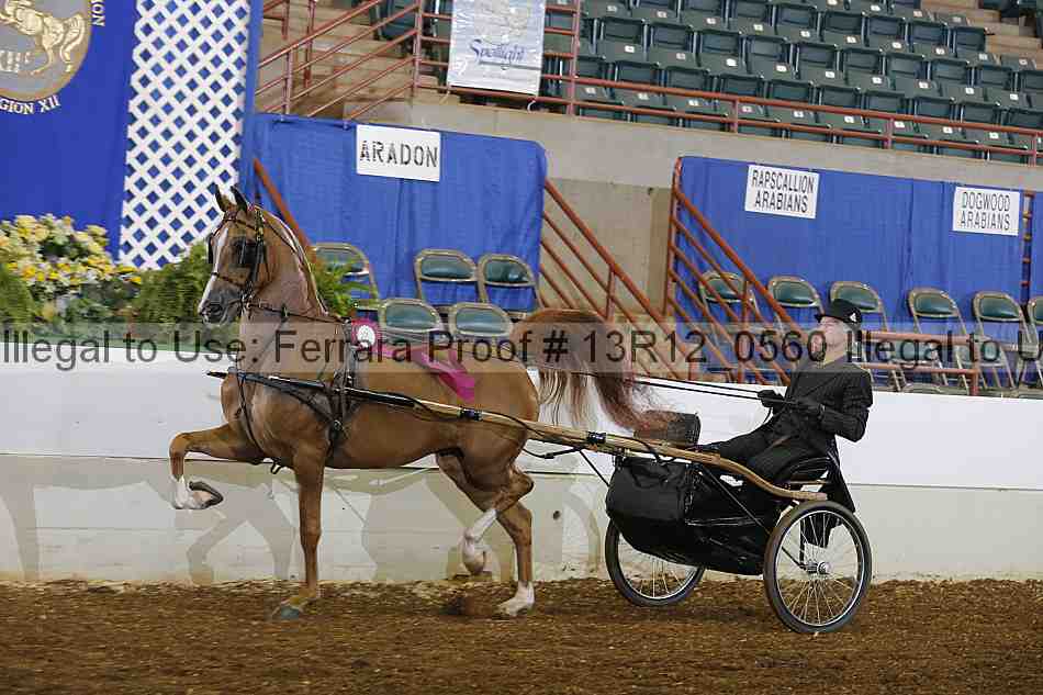 Proof 13r12_0560