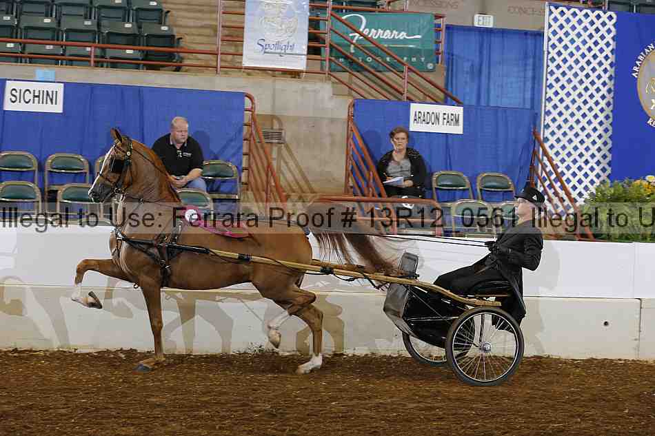 Proof 13r12_0561