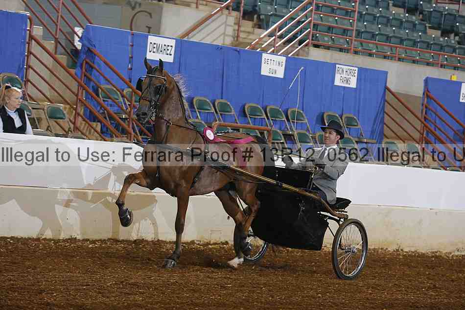 Proof 13r12_0562