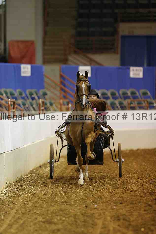 Proof 13r12_0563