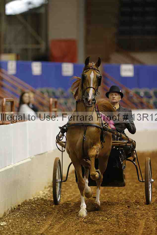 Proof 13r12_0565