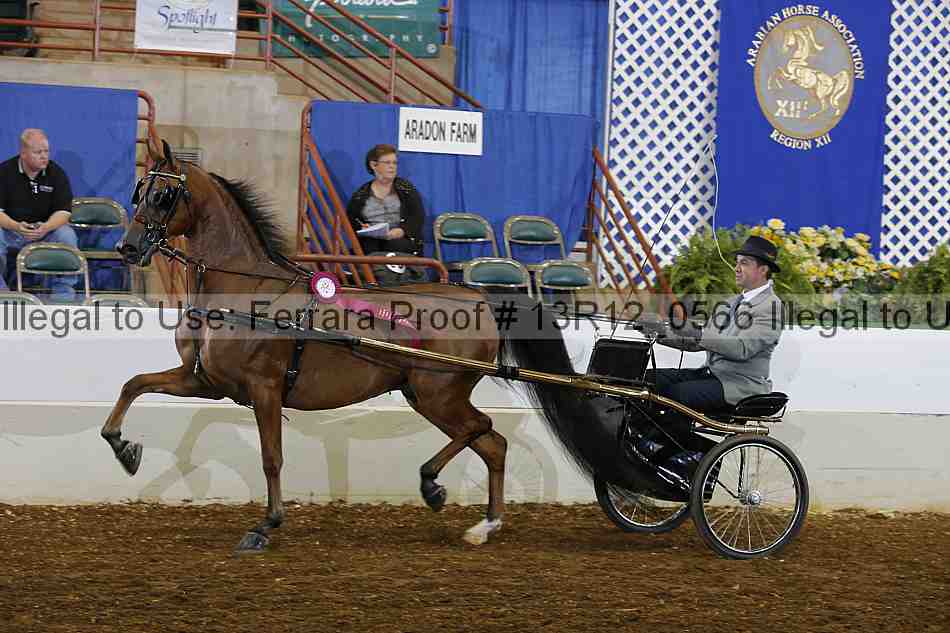 Proof 13r12_0566