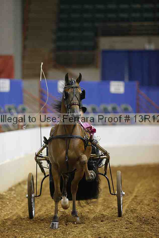 Proof 13r12_0567