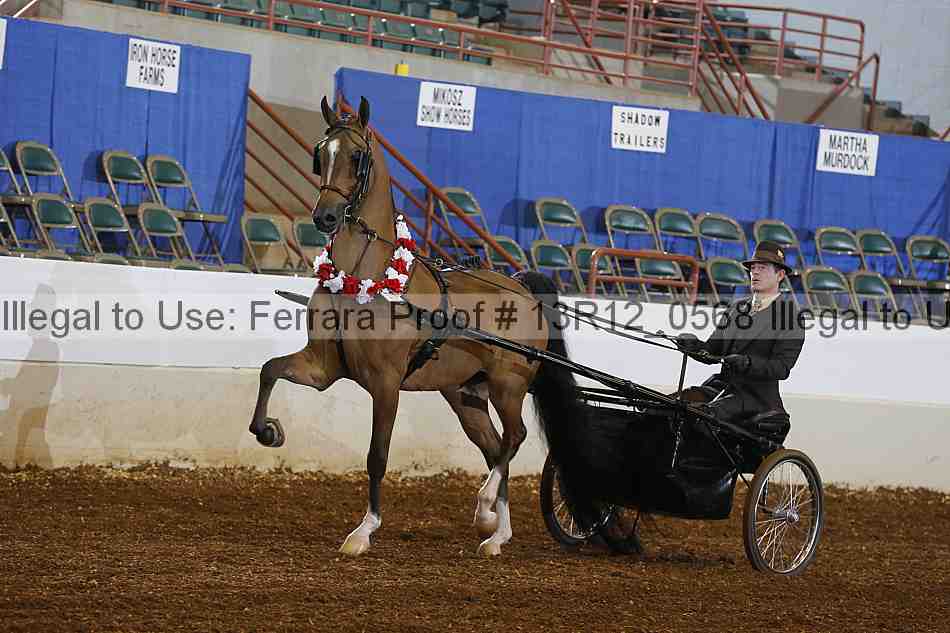 Proof 13r12_0568