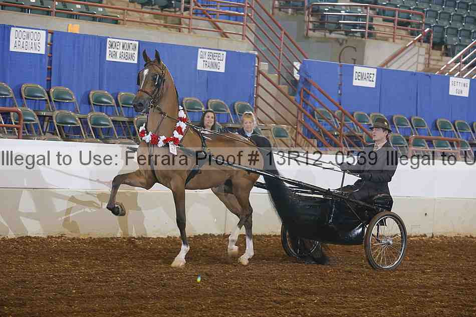 Proof 13r12_0569