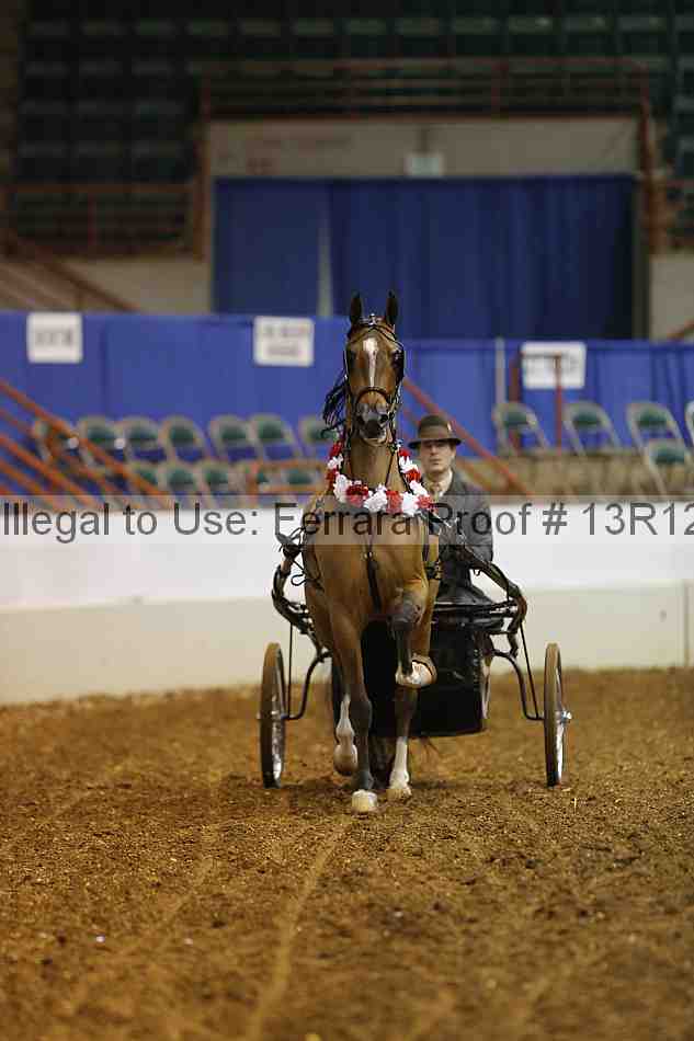 Proof 13r12_0570