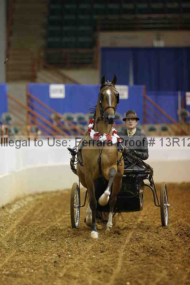 Proof 13r12_0571