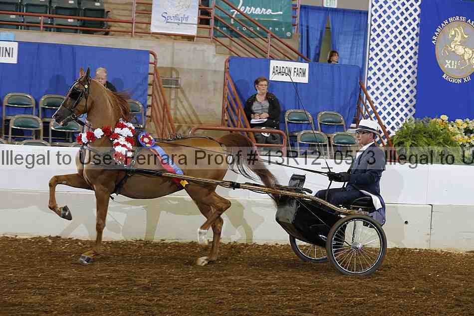 Proof 13r12_0573
