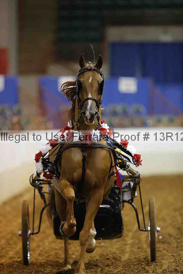 Proof 13r12_0576