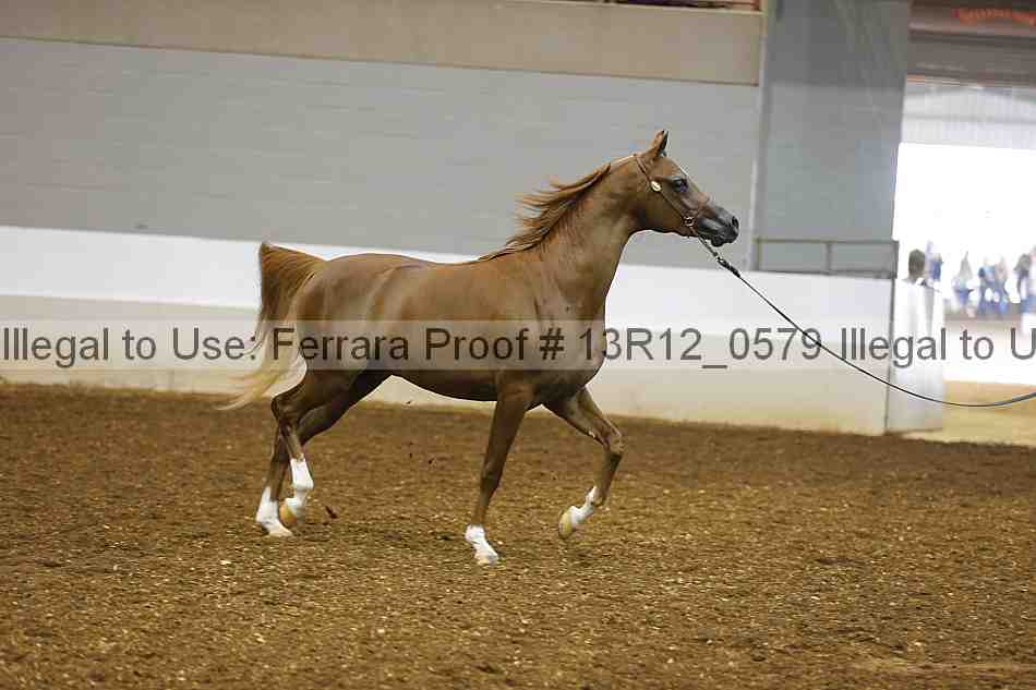 Proof 13r12_0579