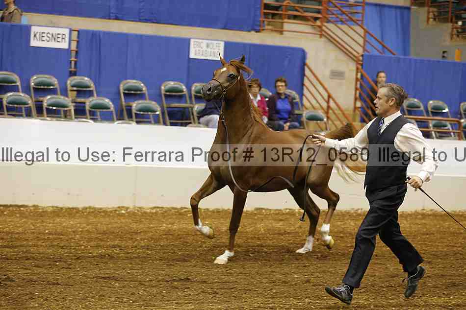 Proof 13r12_0580