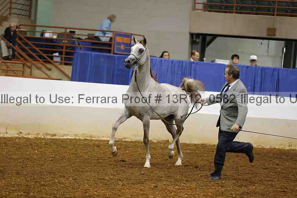 Proof 13r12_0582