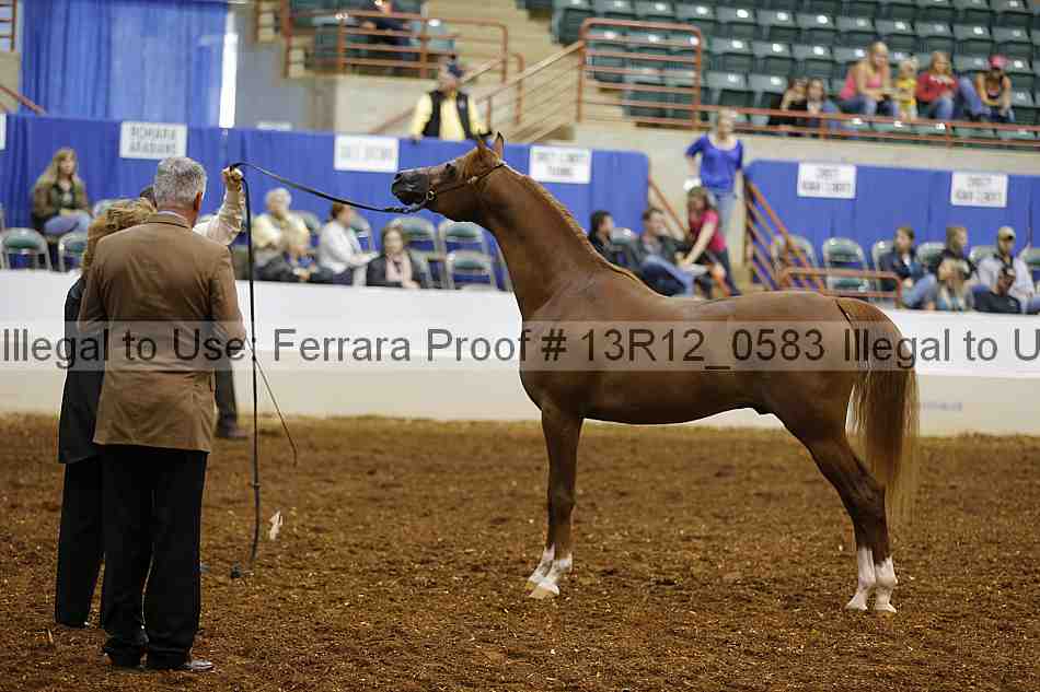 Proof 13r12_0583
