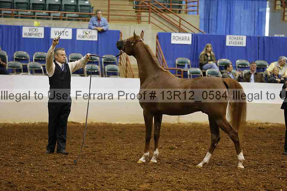 Proof 13r12_0584